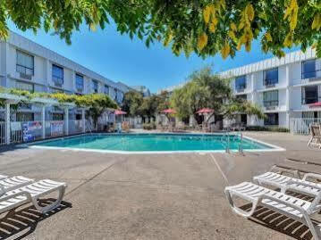 6-belmont, Ca - San Francisco - Redwood